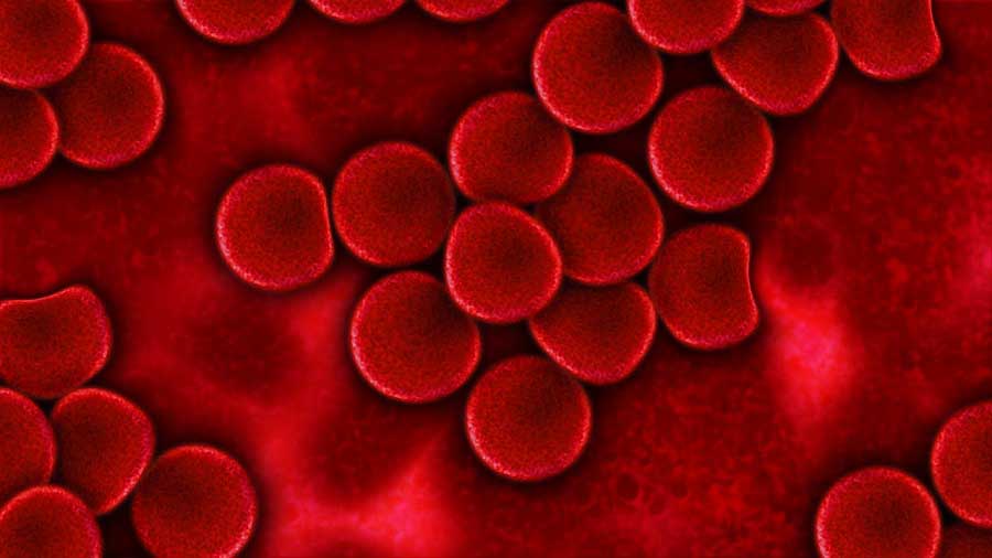 FDA approves Takeda drug for blood cancer