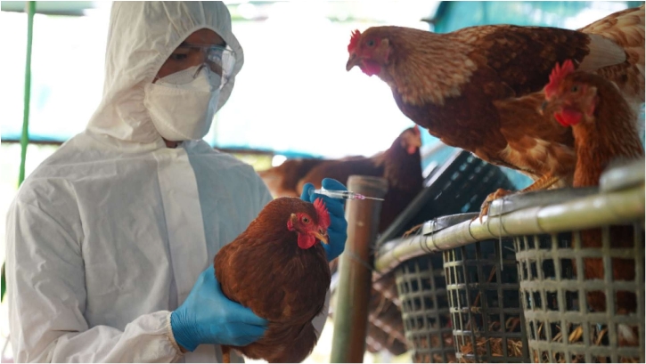 First Human Death from H3N8 Bird Flu